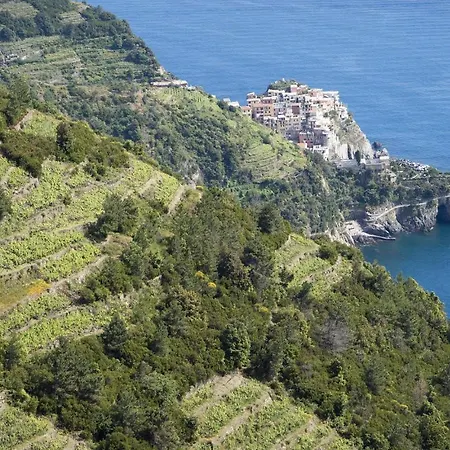 アパート Pet Friendly In Monterosso With Wifi *