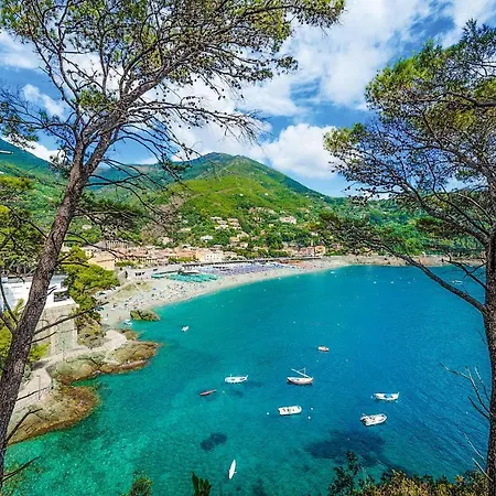 Pet Friendly In Monterosso With Wifi アパート *